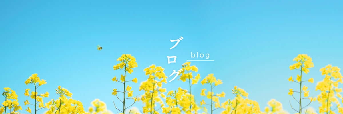 ブログ